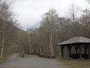 中の瀬園地は当館の対岸にあります。